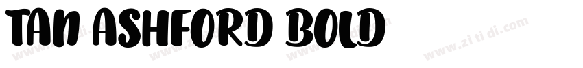 TAN ASHFORD BOLD字体转换